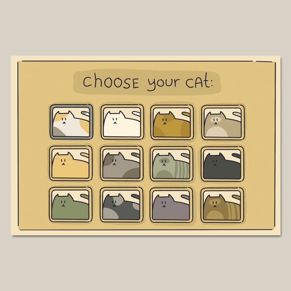 1. Choose a cat