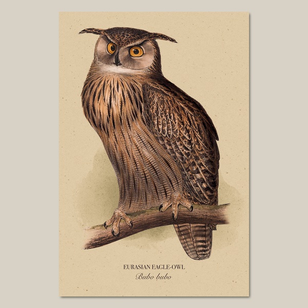 1. Eurasian eagle-owl