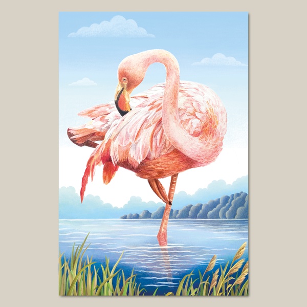 1. Flamingo